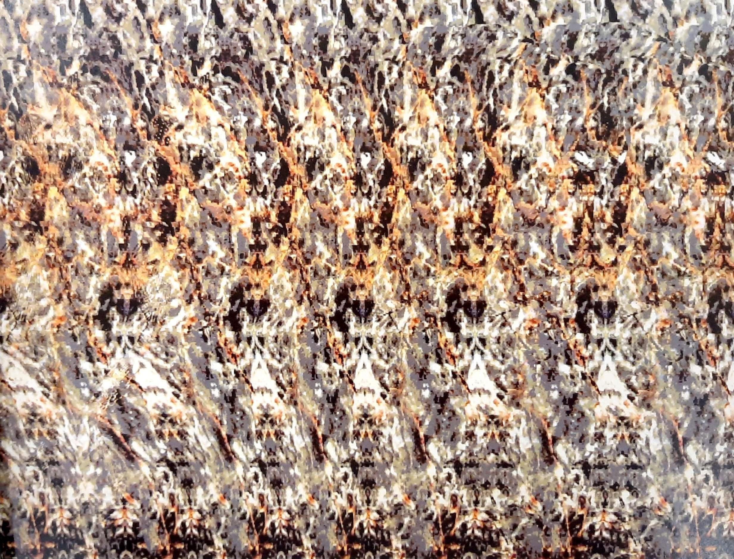 Stereogram 9